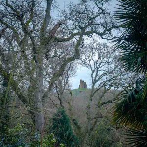 St Catherine's Chapel through the trees